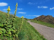 MONTE GIOCO (1366 m) da Spettino Alto in solitaria-13ott26-FOTOGALLERY